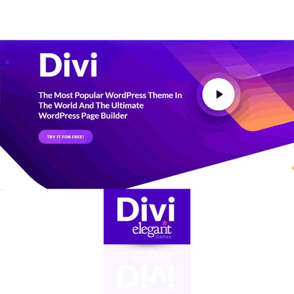 Divi Theme